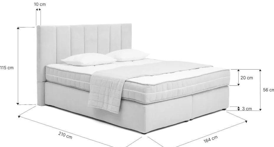 Сиво боксспринг легло 160x200 cm Olia Bold Line – Bonami Selection
