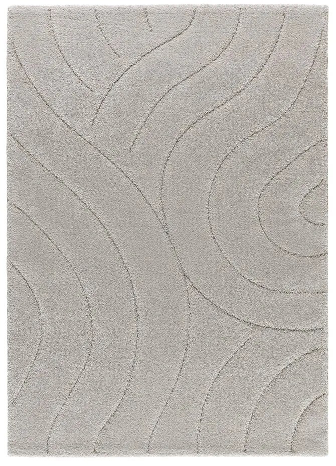 Светлосив килим 160x230 cm Molier – Universal