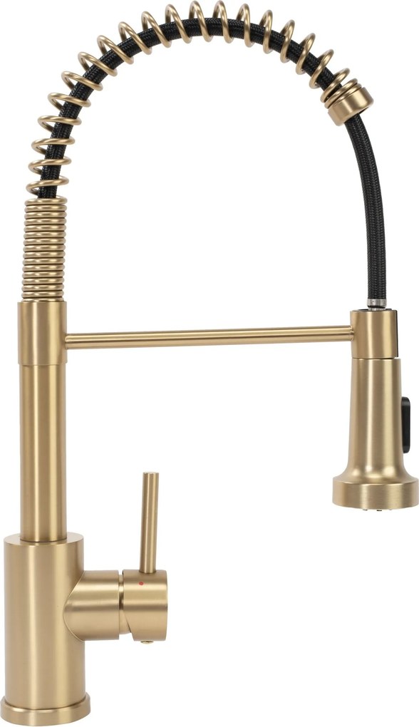 Смесител за кухня REA Colin Brush Gold