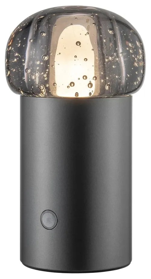 LED преносимо затъмняващо се външно осветително тяло с USB ø 10 cm Iris – Blomus