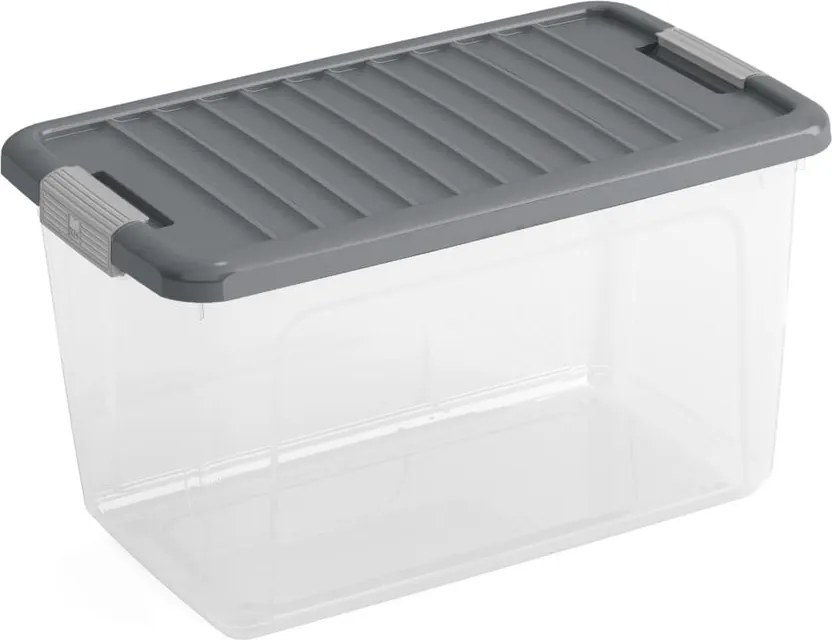 Пластмасова кутия за съхранение с капак 49x30x28,5 cm W box M – KIS