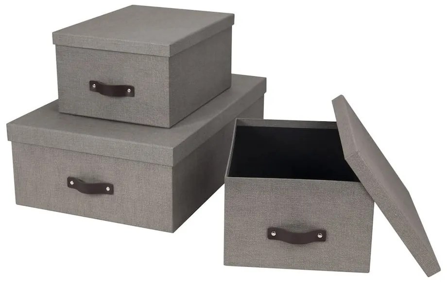 Кутии за съхранение с капак в комплект от 3 Inge - Bigso Box of Sweden