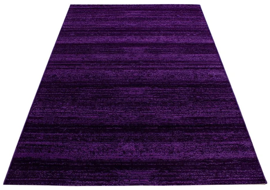 Тъмнолилав килим 160x230 cm Plus – Ayyildiz Carpets