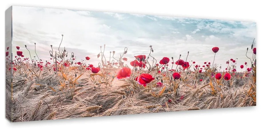 Живопис върху платно , 60 x 150 cm Poppies - Styler