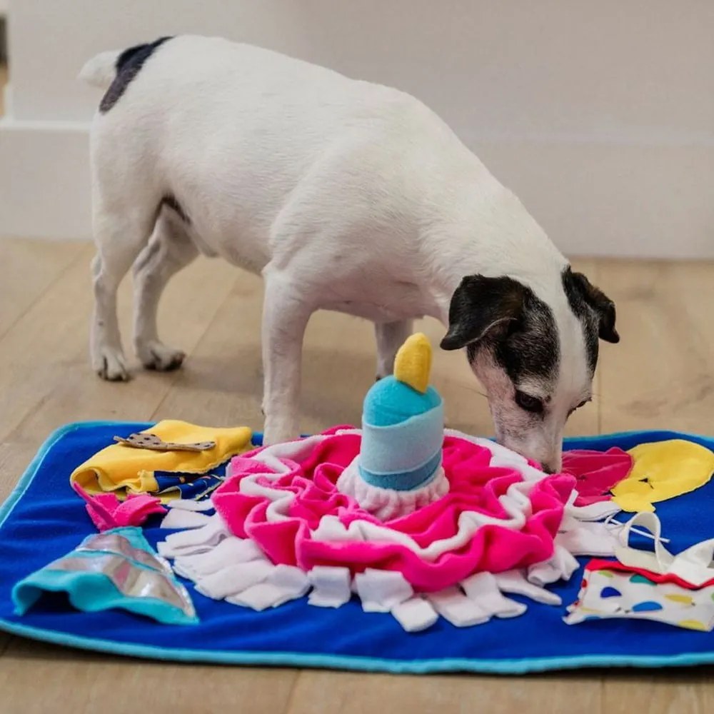 Подожка за обоняние Pawty – P.L.A.Y.