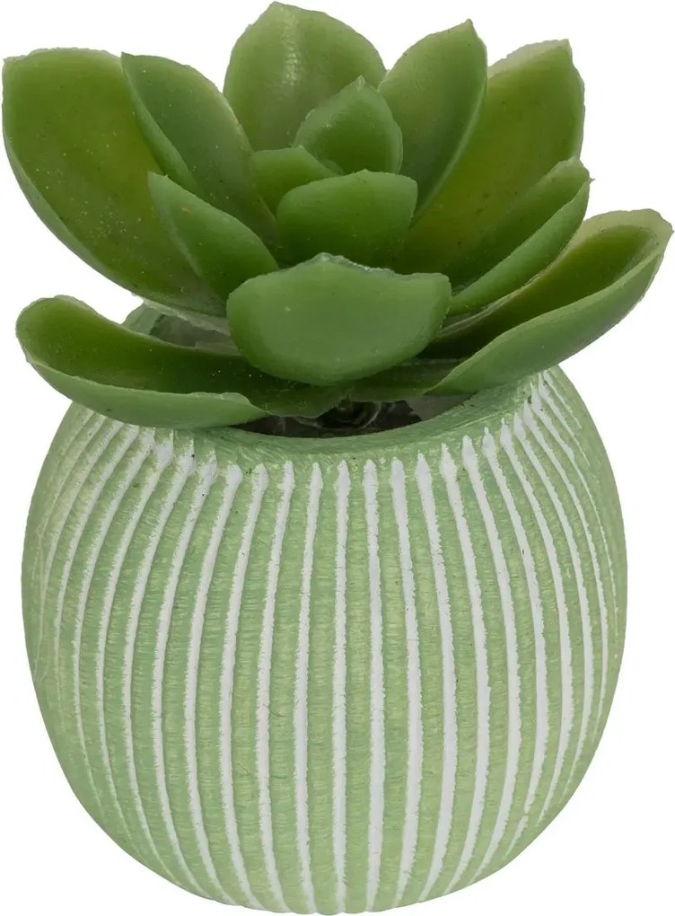 Изкуствено растение atmosphera Ubi Succulent, 7 cm, Различни видове