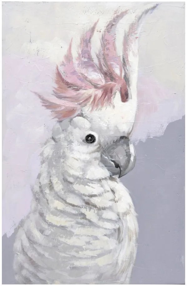 Рисуване Cockatoo