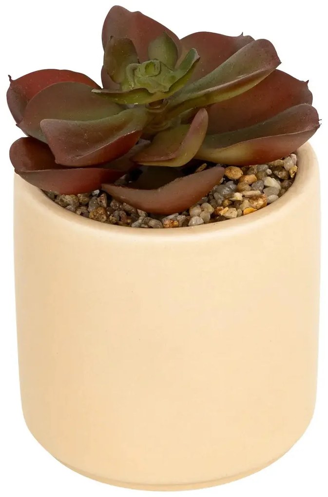 Изкуствено растение atmosphera Nils, 12 cm, Различни видове