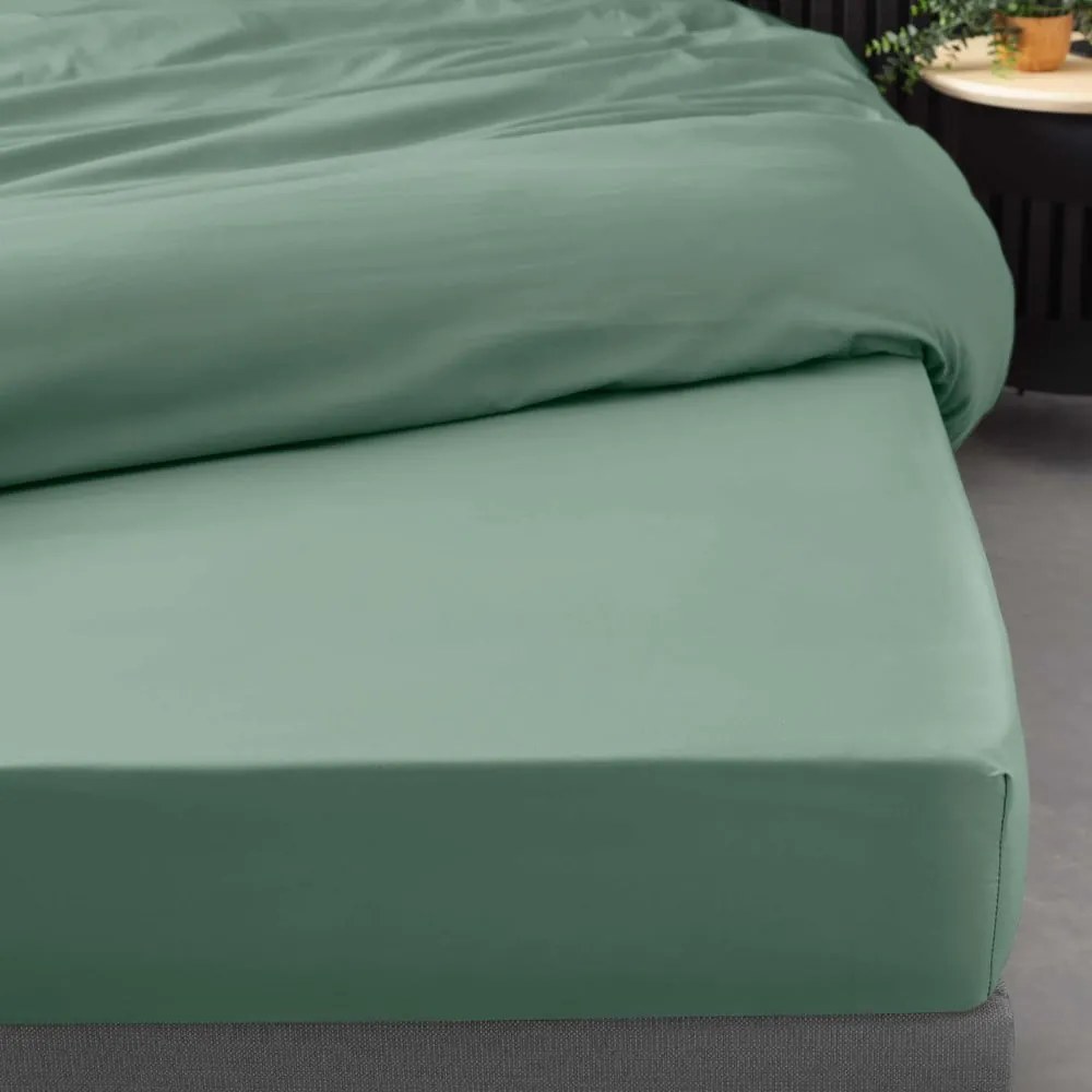 Зелен еластичен чаршаф от памук перкал 160x200 cm Percaline – douceur d'intérieur