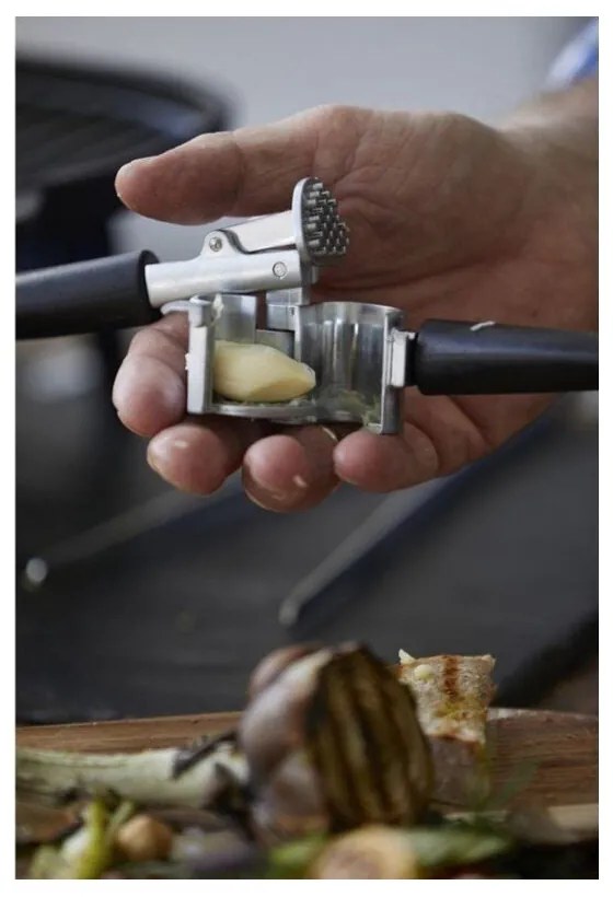 Кухненска преса - Holm