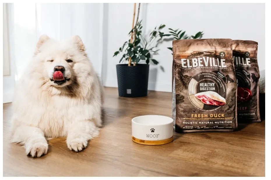 Керамична купа за куче ø 13 cm Dog Fantasy WOOF – Plaček Pet Products