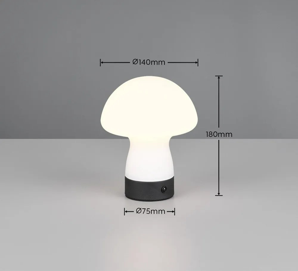 LED настолна лампа в матово бял цвят със стъклен абажур (височина 18 cm) Dooley – Reality