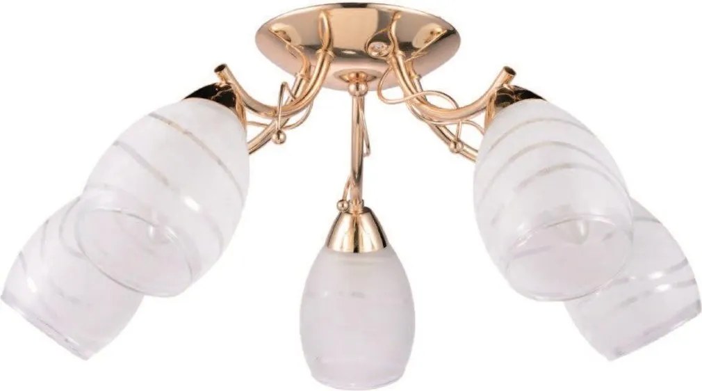 Лампа за таван Elmark Sia 5light
