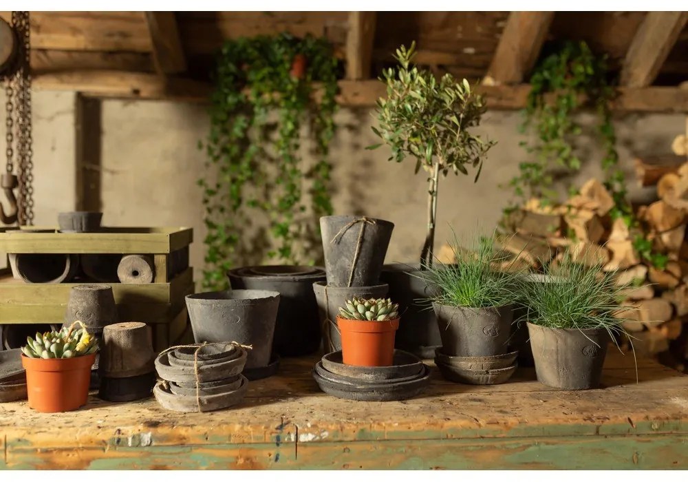 Комплект от 3 чинии за саксии от теракота - Esschert Design