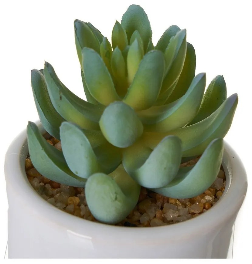 Изкуствени цветя в комплект от 4 Cactus - Casa Selección