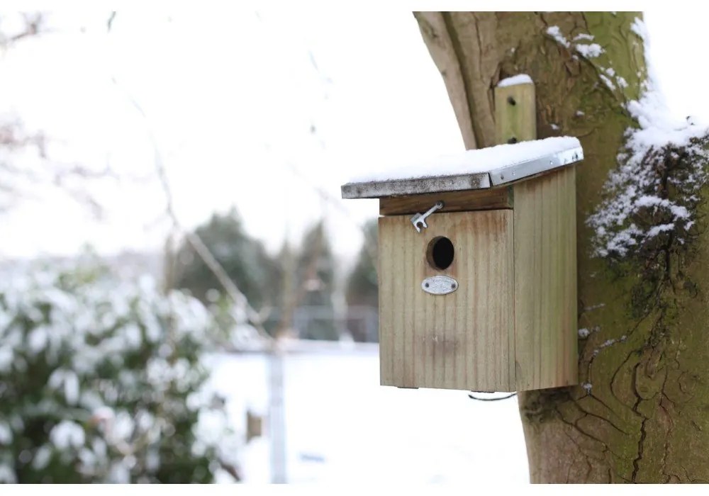 Дървена къщичка за птици – Esschert Design
