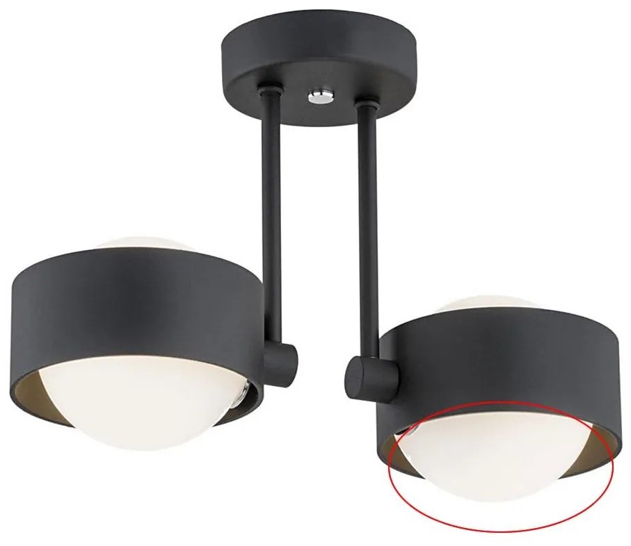 Argon - Резервно стъкло за полилей MASSIMO PLUS G9