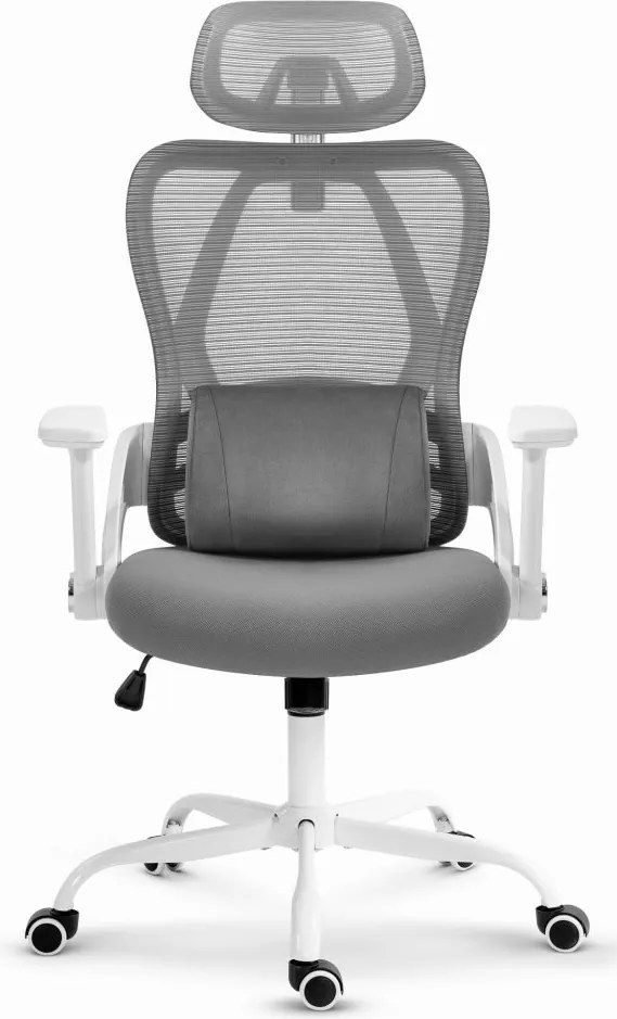 CABRO C507 ергономичен стол с регулируема опора за кръста и главата, сив