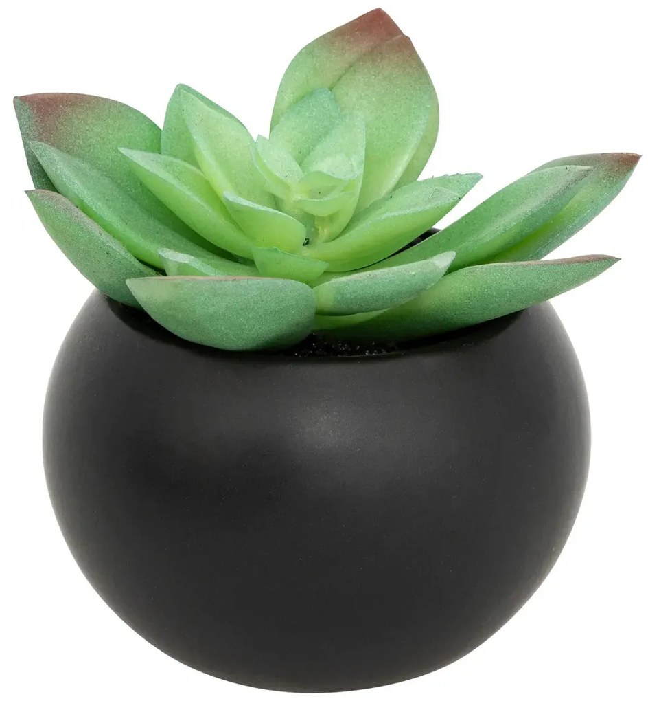 Изкуствено растение atmosphera Succulent, 13 cm, Различни видове