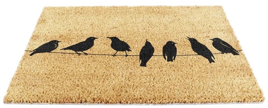 Изтривалка от кокосови влакна 40x60 cm Birds On a Wire – Artsy Doormats