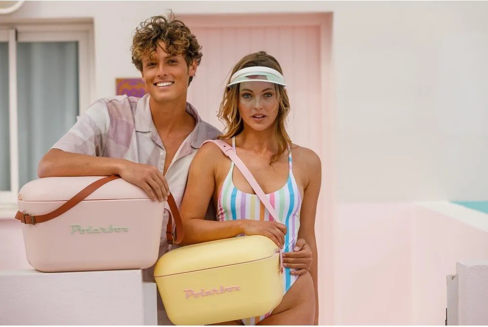Кафява хладилна чанта 12 l Classic Gold – Polarbox