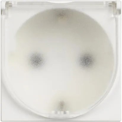 BTICINO Контакт ШУКО 2P+E 2 мод. 16A детска защита с капак IP20 цвят Бял Classia  - RW4141C