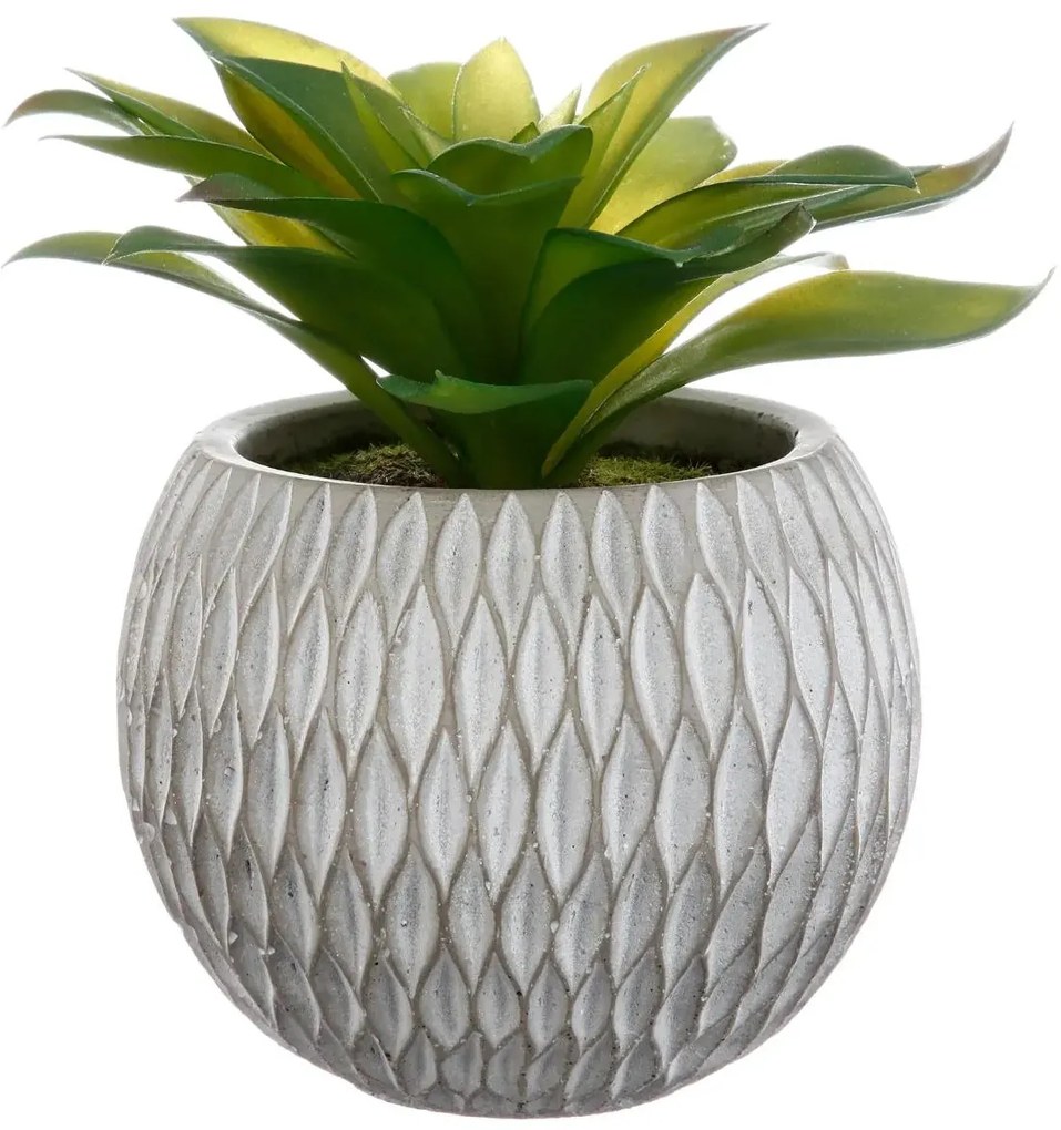Изкуствено растение atmosphera Succulent, 17 cm, Различни видове