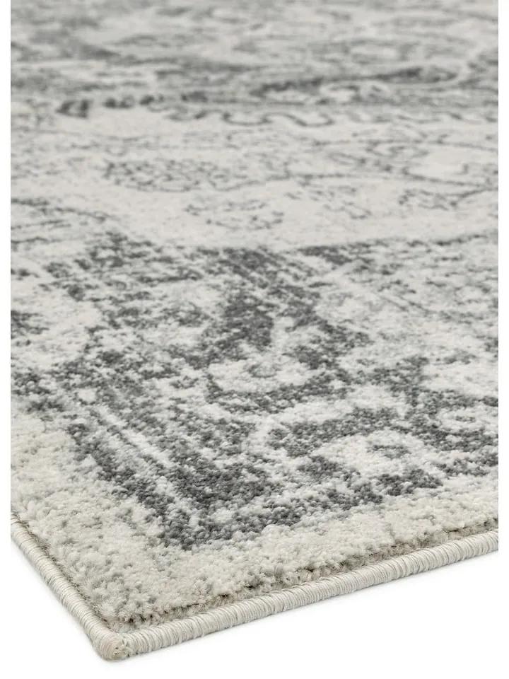 Сиво-кремав килим 120x170 cm Nova – Asiatic Carpets