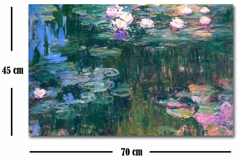 Репродукция на платно върху стена от Клод Моне, 45 x 70 cm - Wallity