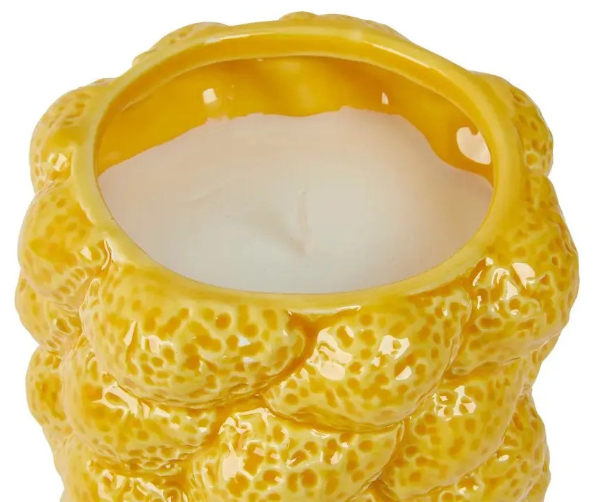 Ароматна свещ atmosphera Yucatan, Citrus, Ceramic, 330 g