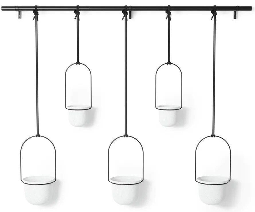 Пластмасови стенни/висящи кашпи в комплект от 5 бр. за билки ø 7,5 cm Triflora – Umbra