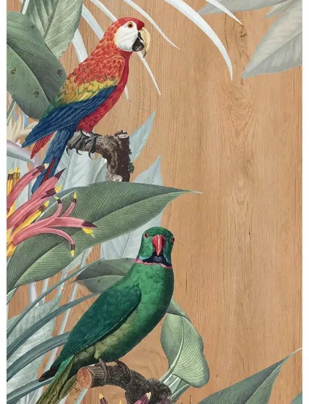 Рисуване Red & Green Parrots Μ