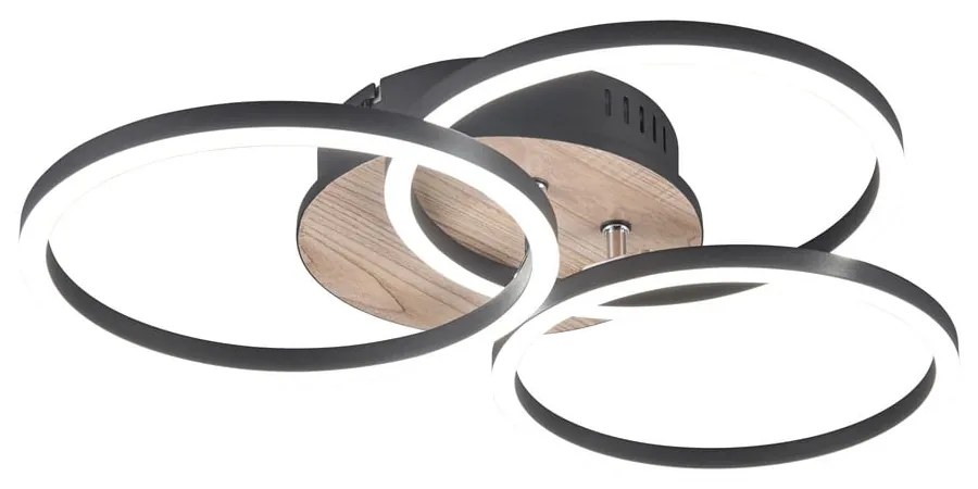 Черно-кафява LED светлина за таван 43x43 cm Circle - Trio