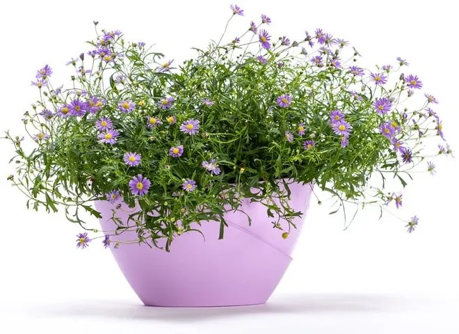 Пастелно лилава самонапояваща се саксия Doppio - Plastia