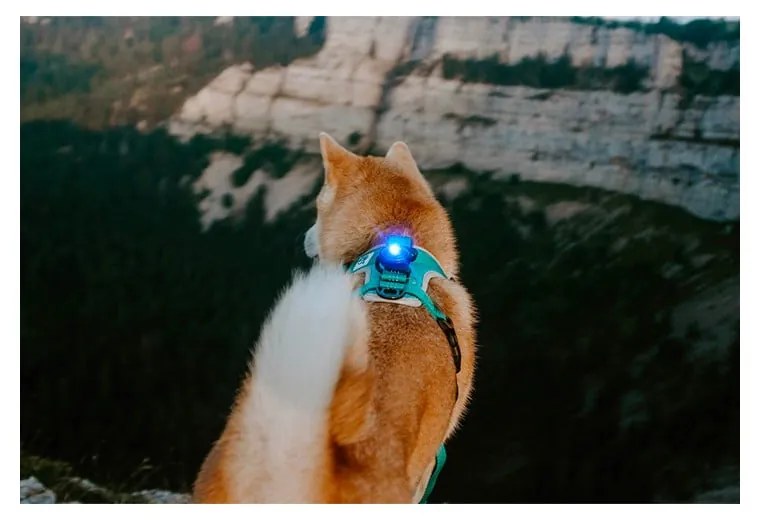 LED светлина за яка Blue - Orbiloc