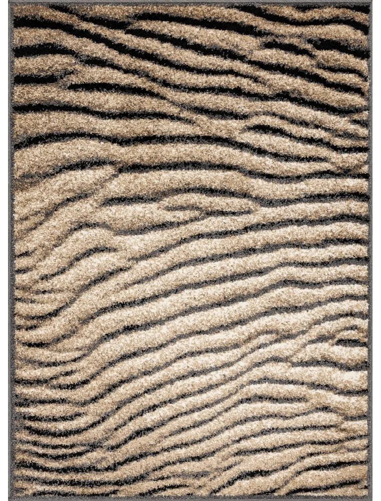 Кафяв килим 160x220 cm Avanti – FD