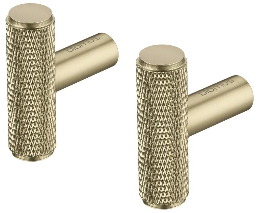 Стенни метални куки в комплект от 2 бр. в месингов цвят Rof – Blomus