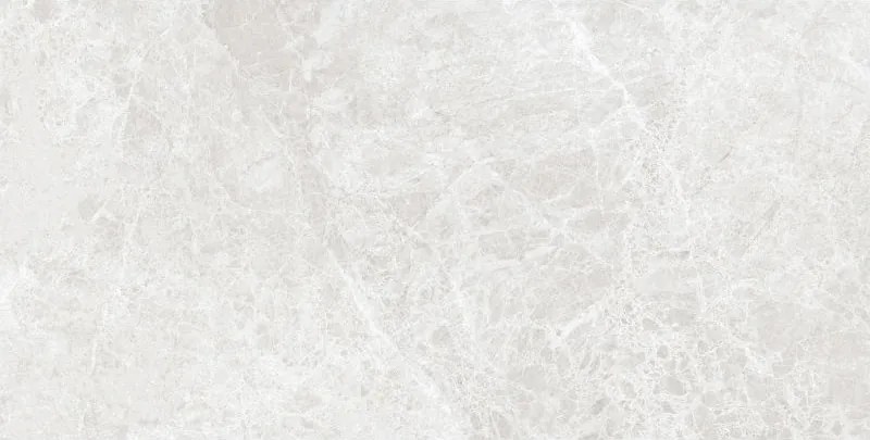 Mexen Lizard Сребърен глазуриран порцелан ректифициран G1, подова и стенна плочка 120 x 60 см, блясък - TL109-120-060-03