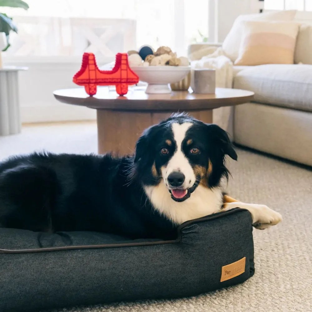 Тъмносиньо легло за куче 100x75 cm Lounge Bed Denim Medieval Blue / Dark Chocolate L – P.L.A.Y.