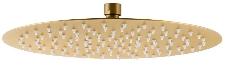 Душ глава от неръждаема стомана златна ø 30 cm Slim – Sapho