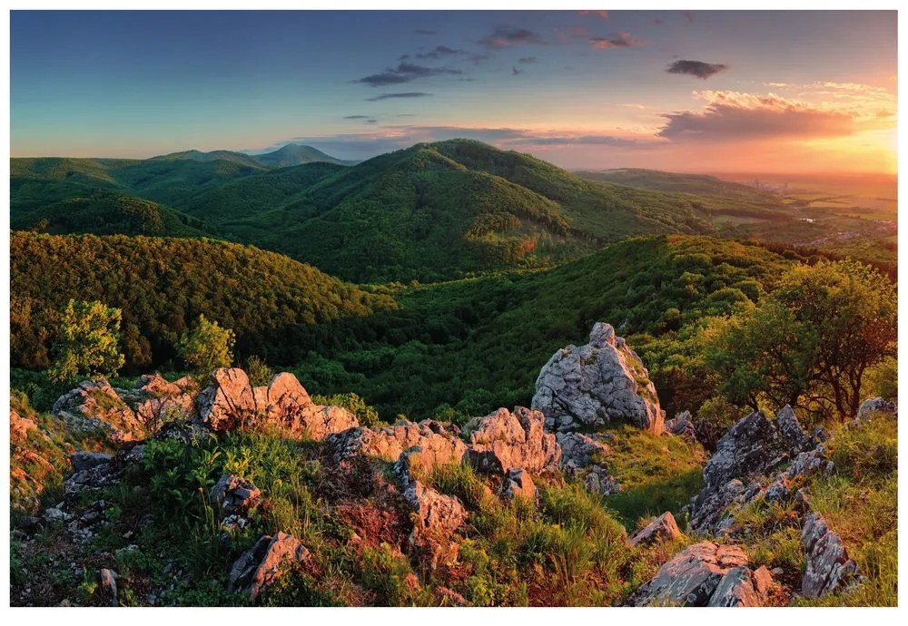 Самозалепващ фототапет – Природа, обляна в слънце
