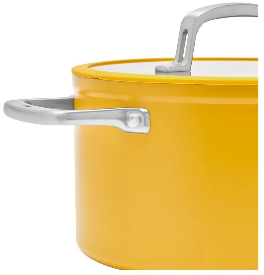 Гърне с капак/с керамично покритие подходящо за индукционен котлон 5,5 l Meda 3.0 – FABINI