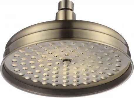 Стационарна душ глава ICH 2051BR, месинг, бронз, 1 функция, 20см