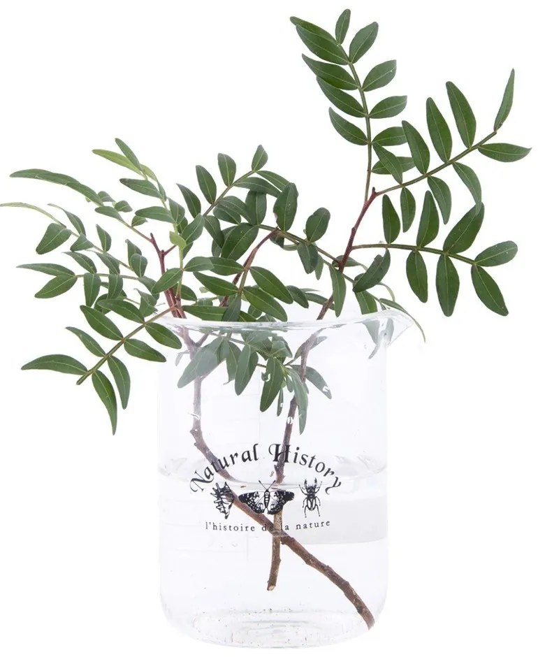 Стъклена ваза (височина 12 cm) Natural History – Esschert Design