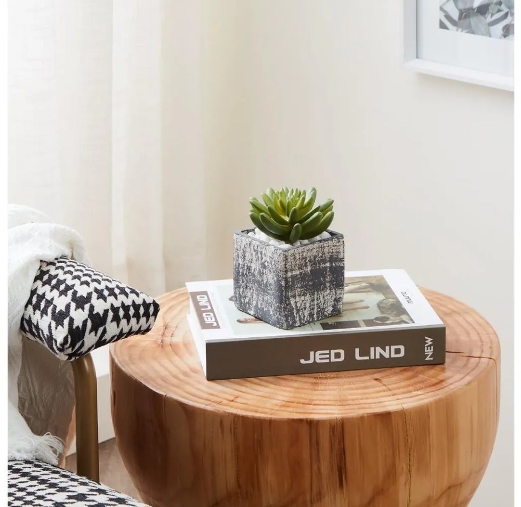 Eglo 428007 - Изкуствено растение CHITOSE 12x7,5 см сукулент в саксия