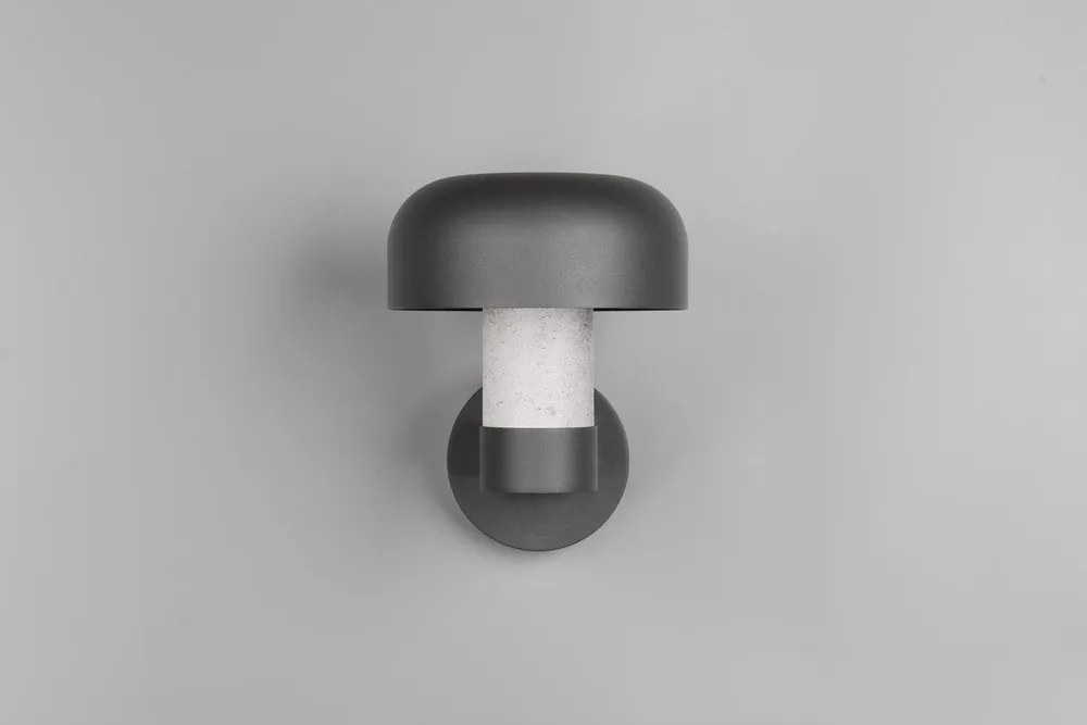 Стенно външно осветително тяло (височина 24,5 cm) Fraser – Trio