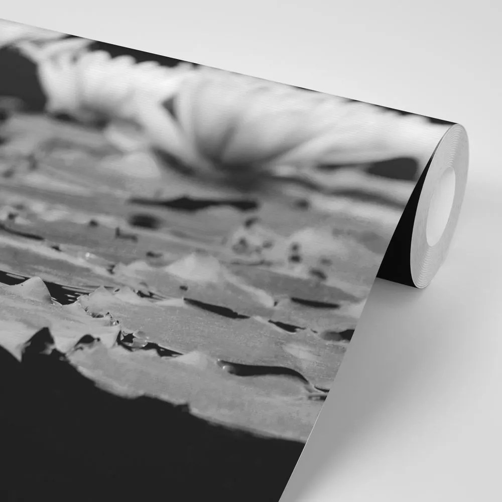 Фототапет – Черно-бял лотосов цвят