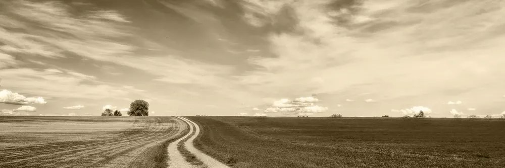 Картина на платно – Вълшебен пейзаж в сепийна версия