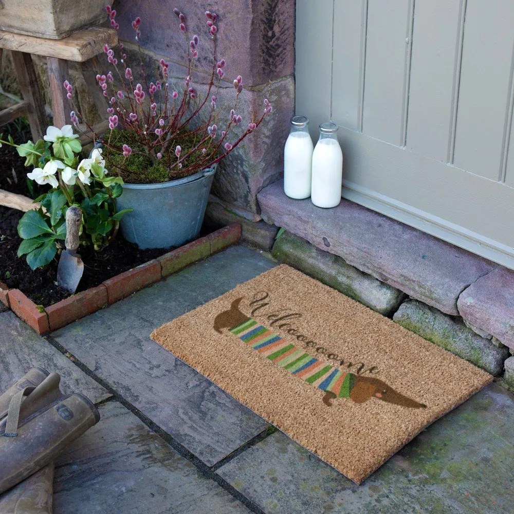 Изтривалка от кокосови влакна 40x60 cm Welcome Sausage Dog – Artsy Doormats