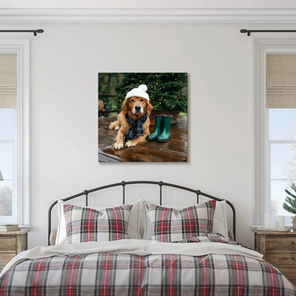 Картина на платно – Куче със зимна шапка